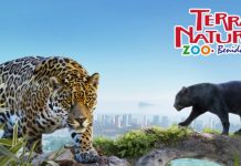 animales en terra natura benidorm