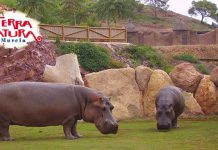 animales terra natura murcia