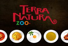 donde comer en terra natura