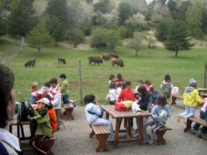 donde comer en lacuniacha