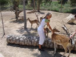 como llegar a Terra Natura Benidorm