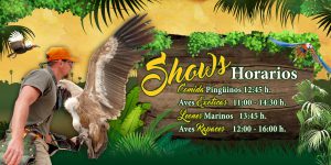 horarios y calendario jungle park