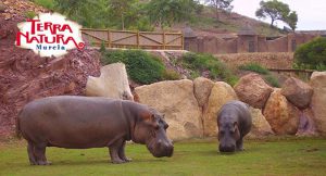 animales terra natura murcia