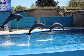 horarios y calendario zoo madrid