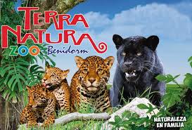 terra natura benidorm o murcia