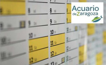 horarios y calendario acuario de zaragoza