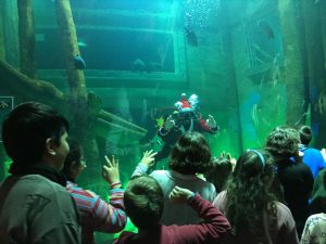 actividades acuario de zaragoza 