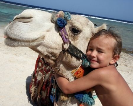 regalo original para niño paseo en camello
