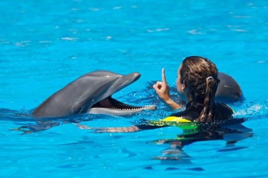 nadar con delfines