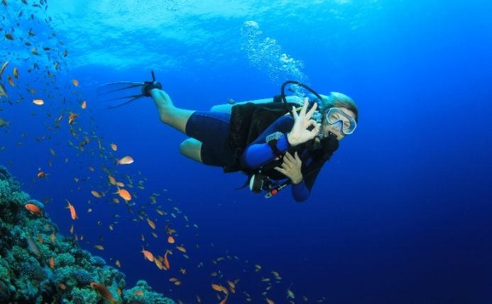 todo lo que tienes que saber para hacer buceo