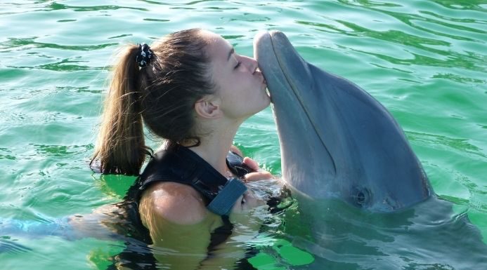 donde nadar con delfines en españa