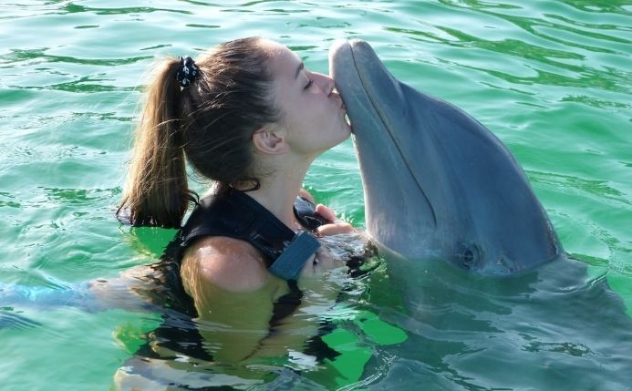 donde nadar con delfines en españa