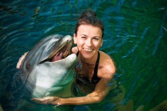 beneficios de nadar con delfines