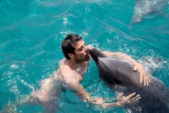 lugares donde nadar con delfines