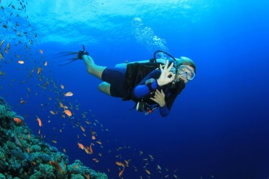 buceo en Cantabria