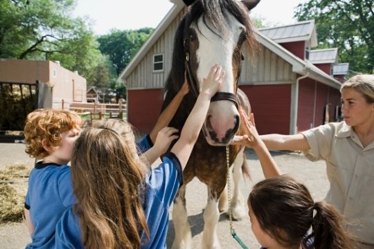 montar a caballo con niños