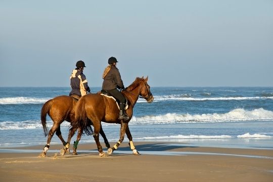 regalo ruta a caballo