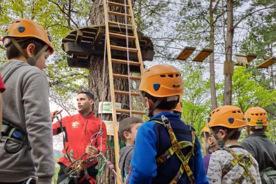 Varios niños con el equipamiento necesario para realizar una actividad del parque Sopuerta Abentura están escuchando al instructor enfrente de un árbol.