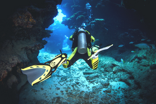 Una persona con el equipamiento necesario de color negro y amarillo está buceando en el fondo del mar.