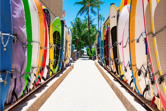 Diversas tablas de surf de varios colores están puestas de pie en un servicio de alquiler de tablas de surf.