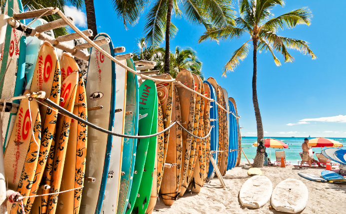 Diferentes tipos de tablas de surf están puestas en una playa de agua cristalina, palmeras y arena blanca. En la playa hay varias personas disfrutando del buen tiempo con tumbonas y sombrillas.