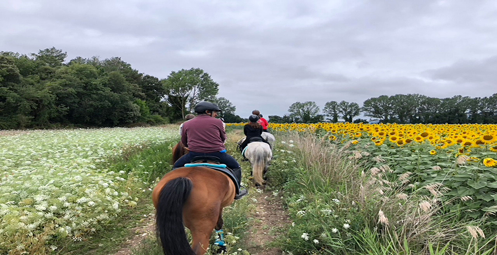 En la imagen aparece una serie de personas montadas a caballo, junto a los trabajadores del Club Hípico Gaubea, cabalgando y disfrutando de los hermosos paisajes de Álava. 